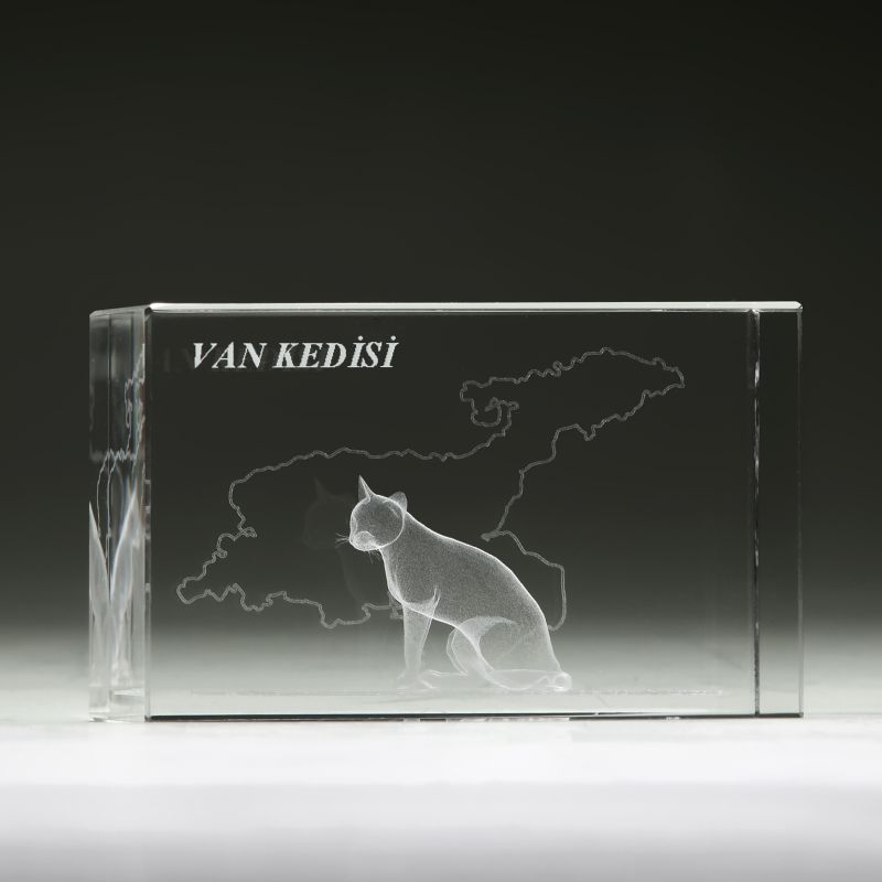 VAN KEDİSİ